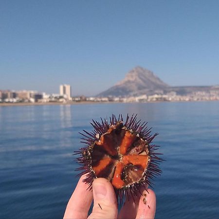 Junto Al Mar Apartment Jávea Екстериор снимка